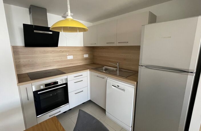 Location appartement 2 pièces 47 m² à Lyon 7 (69007) — photo 2