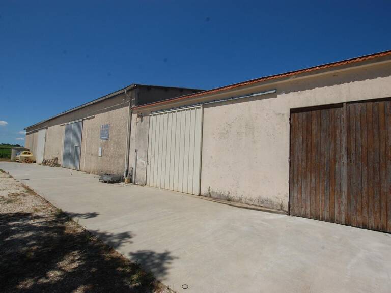 Ancien chai en pierre  Un fort potentiel à Cars — photo 1