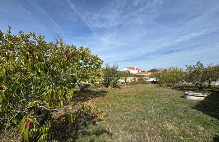Proche des plages — photo 3