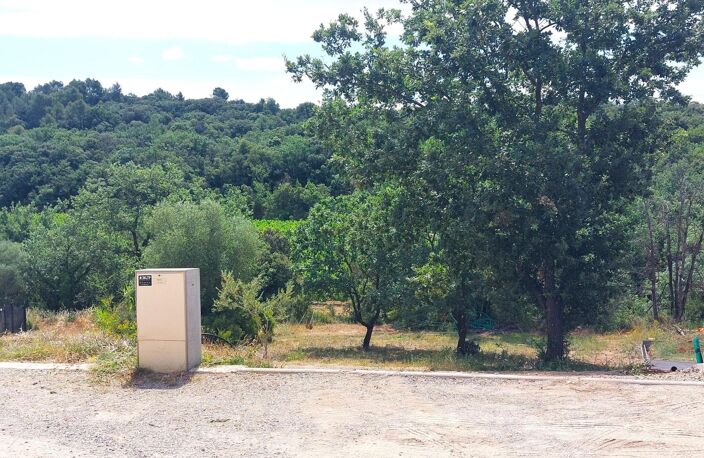 Vue vignes — photo 2