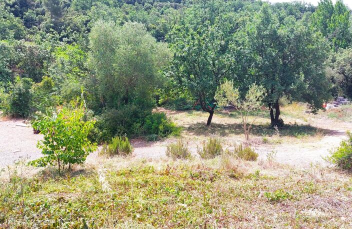 Vue vignes — photo 3