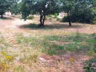 Vue vignes — photo 4