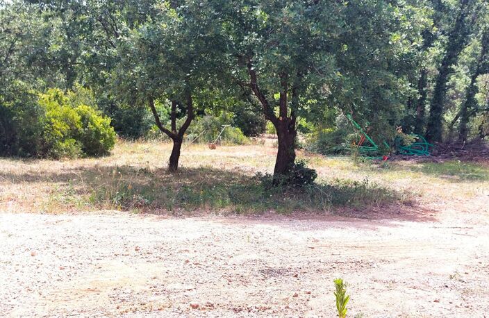Vue vignes — photo 5