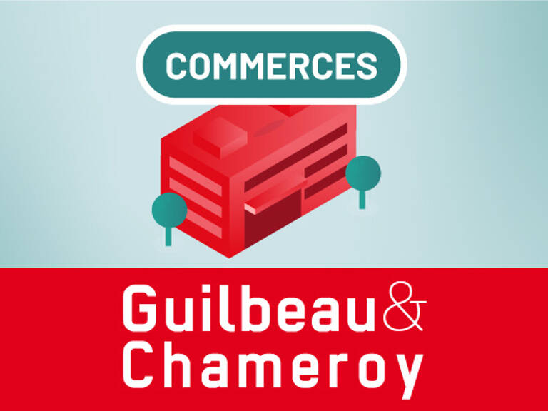 LOCAL COMMERCIAL PROFESSIONNEL ANGERS — photo 1