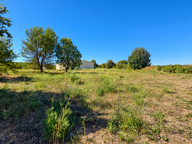 Dpt Hérault (34), Secteur Pic Saint-Loup, Hangar de 660m2, p — photo 2