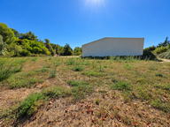 Dpt Hérault (34), Secteur Pic Saint-Loup, Hangar de 660m2, p — photo 3