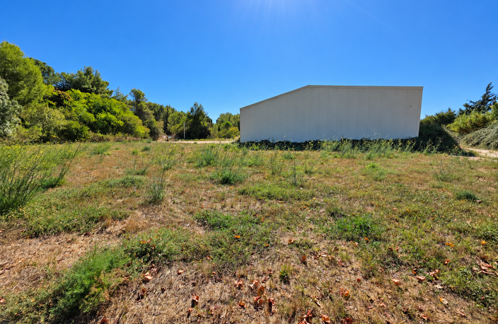 Dpt Hérault (34), Secteur Pic Saint-Loup, Hangar de 660m2, p — photo 3