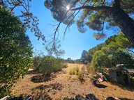 Ventabren Maison campagne T3/4 - BAIL MEUBLE 10 MOIS — photo 3