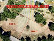 Terrain — photo 2