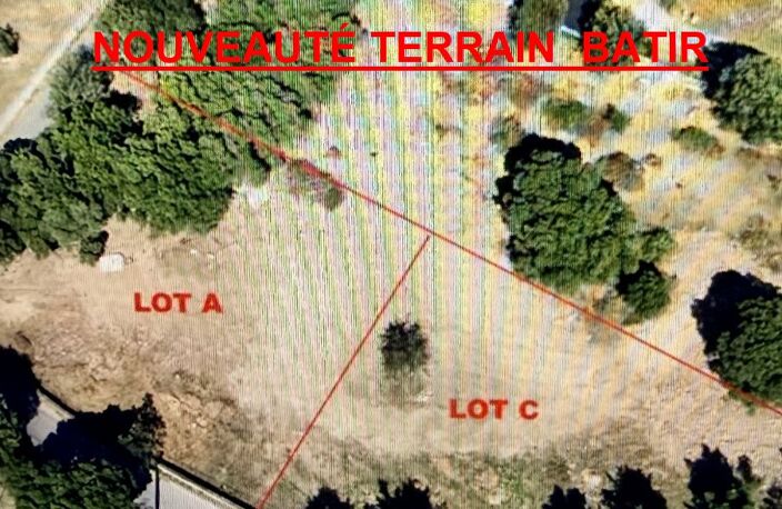 Terrain — photo 2