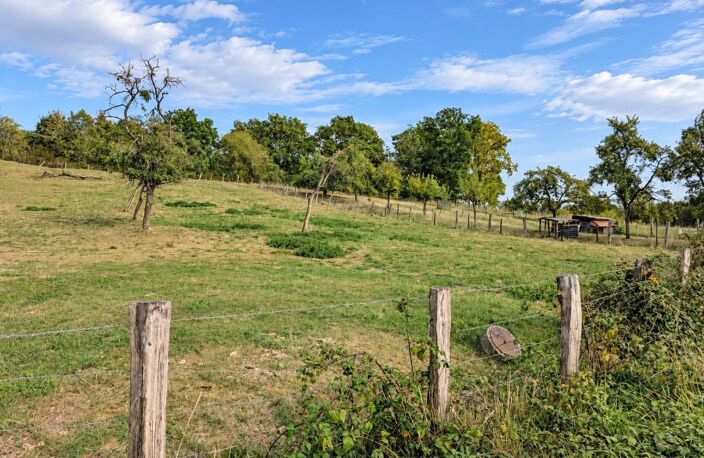 À Vendre  Terrain constructible de 12.47ares dans un écrin de verdure — photo 3