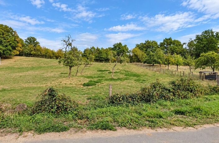 À Vendre  Terrain constructible de 12.47ares dans un écrin de verdure — photo 4