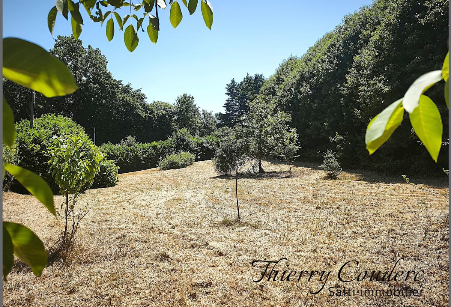Grand terrain constructible de 4 642 m² — photo 1