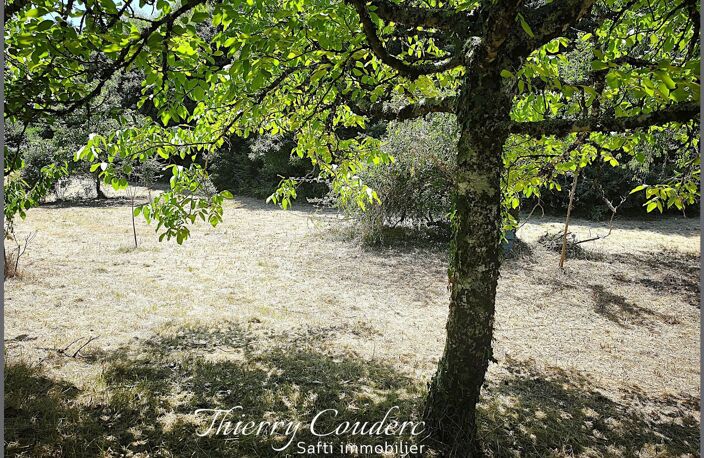 Grand terrain constructible de 4 642 m² — photo 2