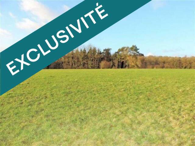 terrain constructible — photo du bien