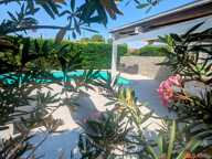 Plain-pied avec piscine sur un magnifique terrain arboré. — photo 2