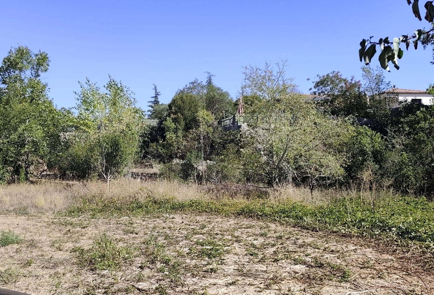 Vente Terrain 3 905 m&sup2; — photo 1