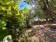 A VENDRE TERRAIN LA MURE — photo 3