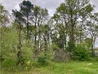 Maison à construire à Le Haillan (33185) — photo 4
