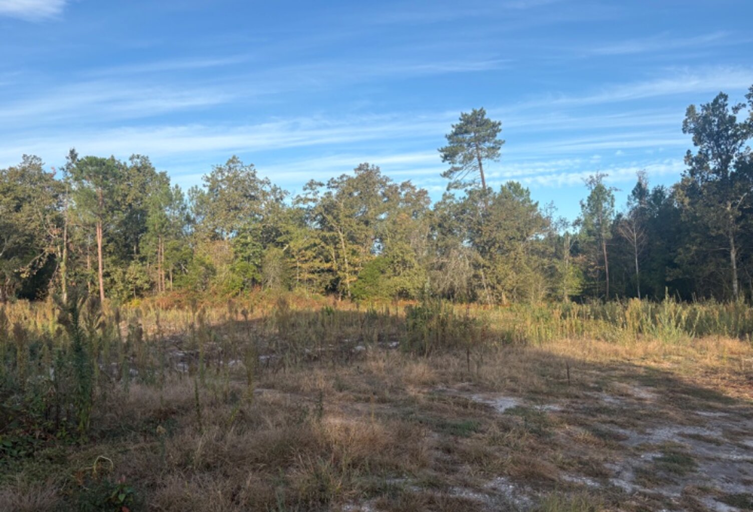 Terrain à bâtir à Mios (33380) — photo 1