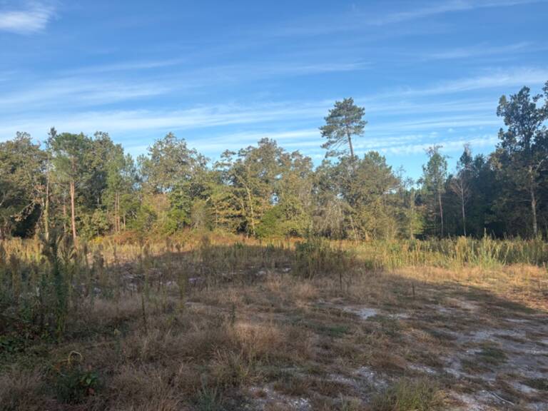 Terrain à bâtir à Mios (33380) — photo 1