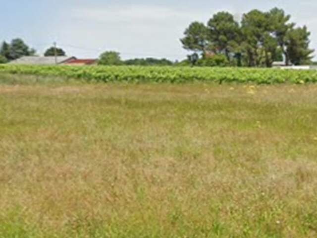 Terrain à bâtir à Cavignac (33620) — photo du bien