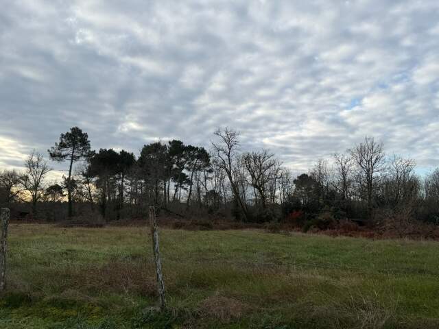 Terrain à bâtir à Toulenne (33210) — photo du bien