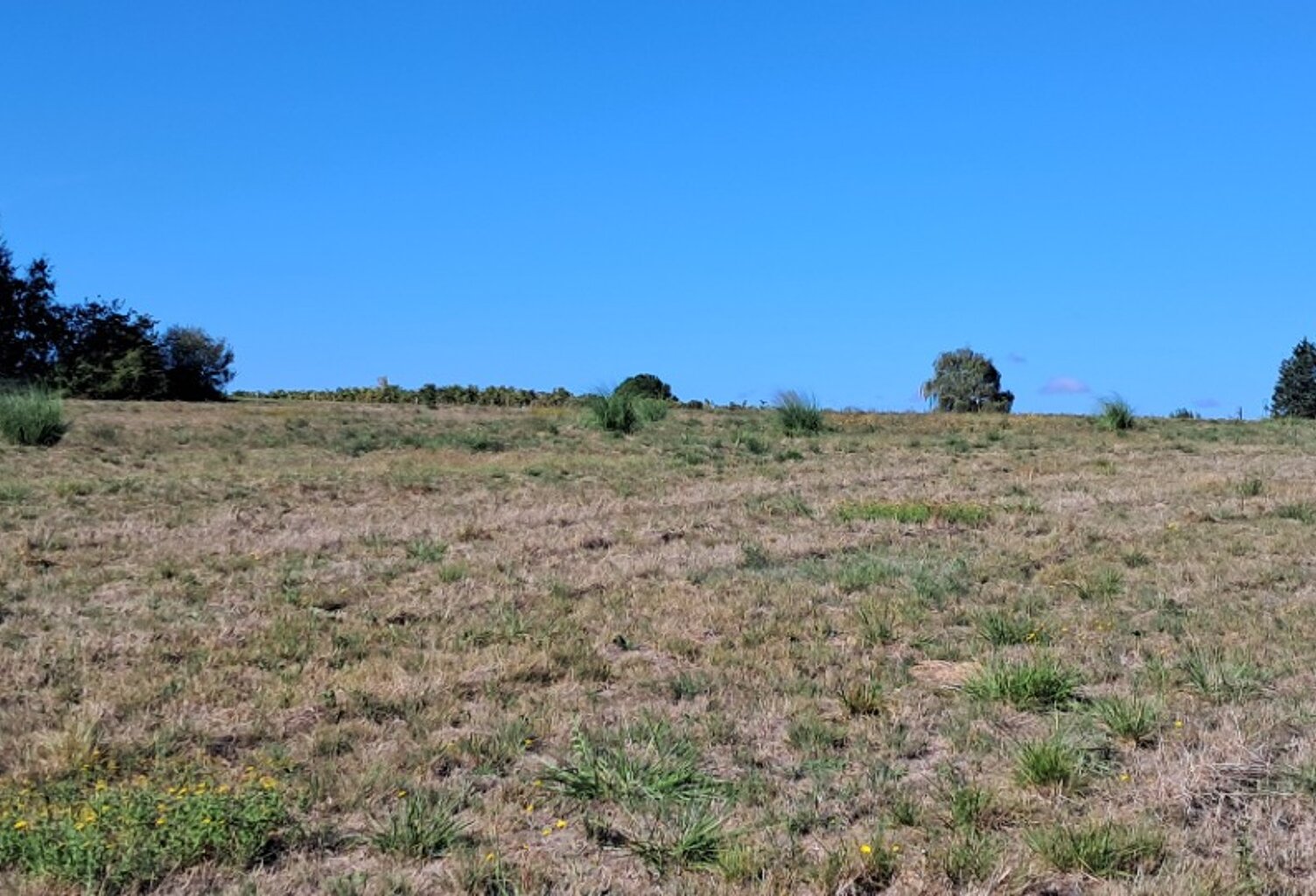 Terrain à bâtir à Mérignac (17210) — photo 1