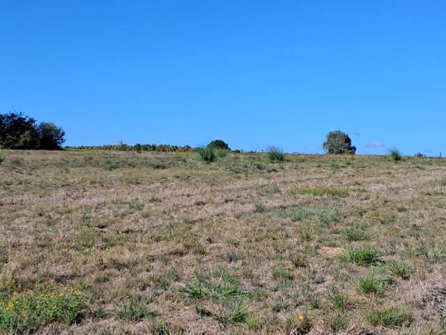Terrain à bâtir à Mérignac (17210) — photo du bien