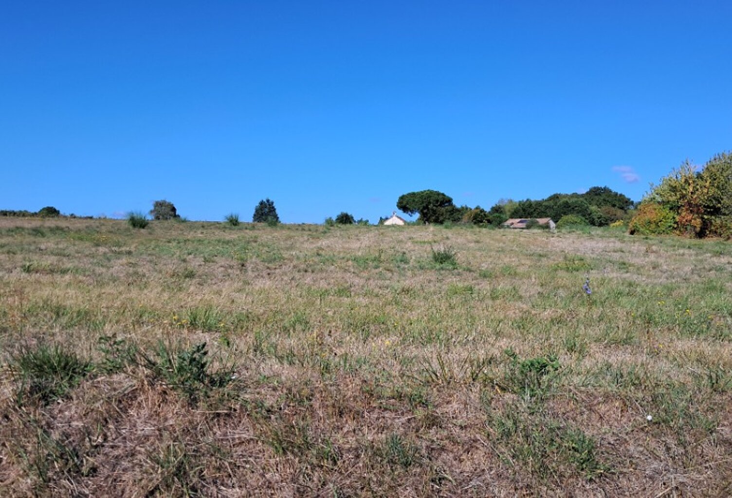 Terrain à bâtir à Mérignac (17210) — photo 1