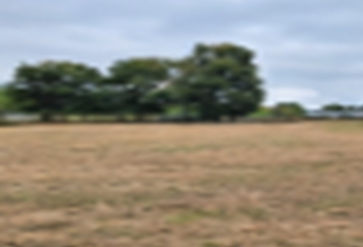 Terrain à bâtir à Cézac (33620) — photo 1