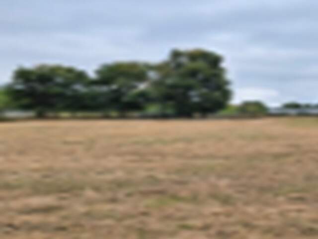 Terrain à bâtir à Cézac (33620) — photo du bien