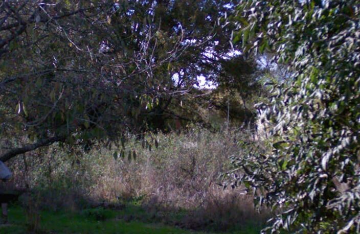 Faites construire votre maison 98.33 m² avec terrain à LA CELLE-LES-BORDES (78) ! — photo 2