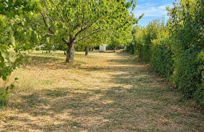 TERRAIN À BÂTIR DE 686 M² AVEC HANGAR – ROUFFIAC-TOLOSAN — photo 3