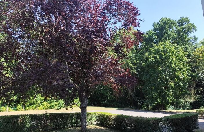 Appartement de 24m2 à louer sur Rennes — photo 3