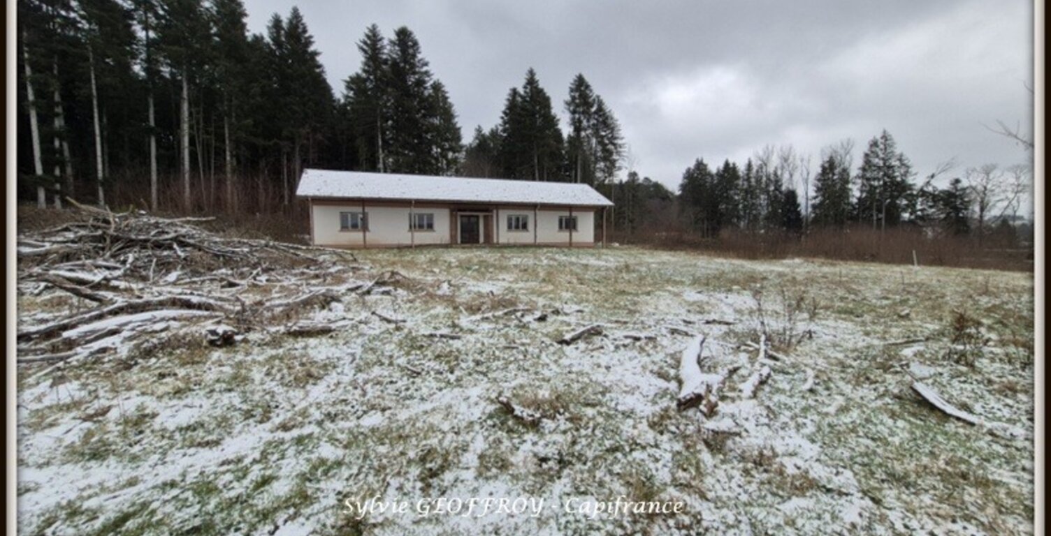 Propriete à vendre 10 pièces ETIVAL CLAIREFONTAINE (88) — photo 1