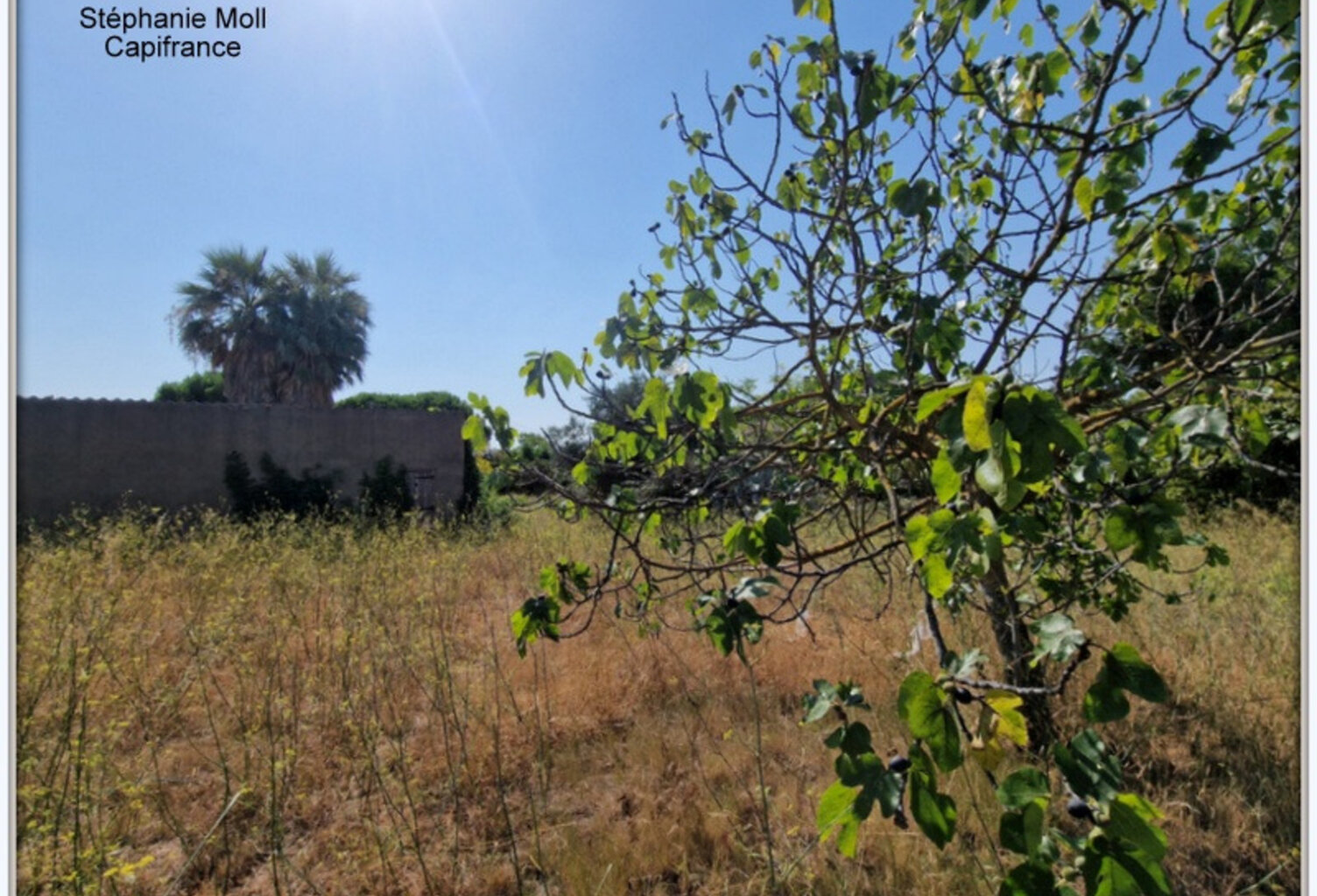 Terrain à vendre de 2 958,00 m² NARBONNE (11) — photo 1