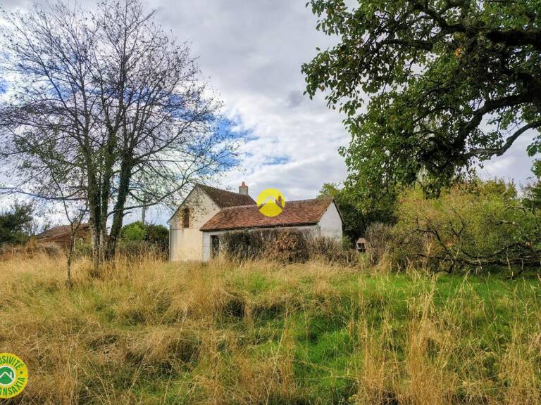Bonne Affaire — photo 1