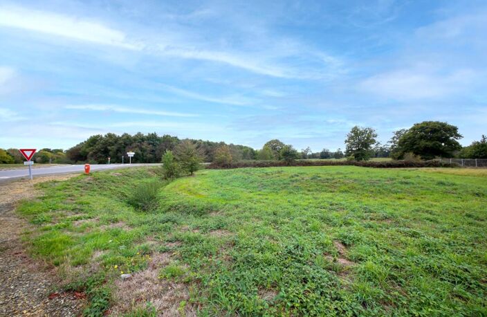 Terrain - 1 805 m² - Saint-Aubin-du-Cormier (35) — photo 2