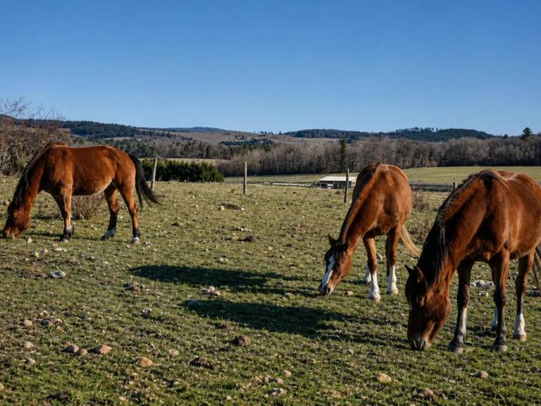 Propriété de 15 pièces de 400 m² à Revest-du-Bion — photo 1