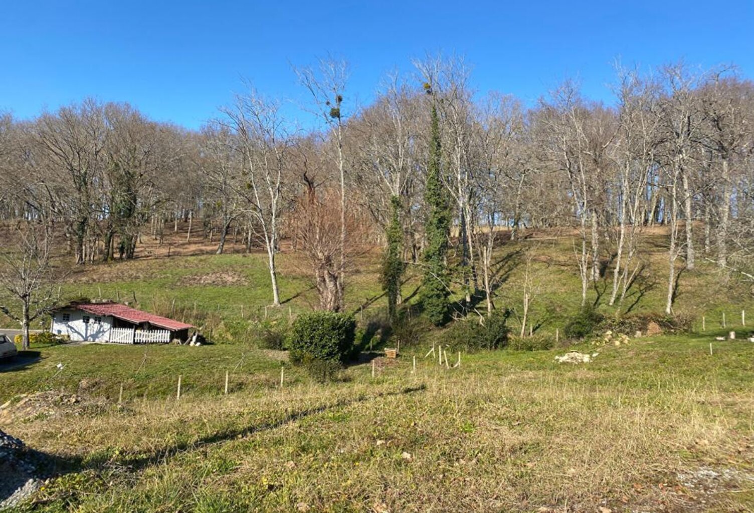 Terrain viabilisé de 739 m2 à Salies-de-Béarn — photo 1