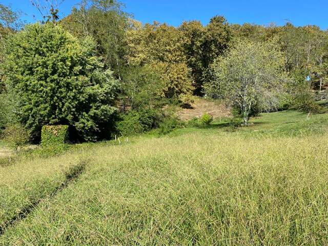 Terrain viabilisé de 739 m2 à Salies-de-Béarn — photo du bien