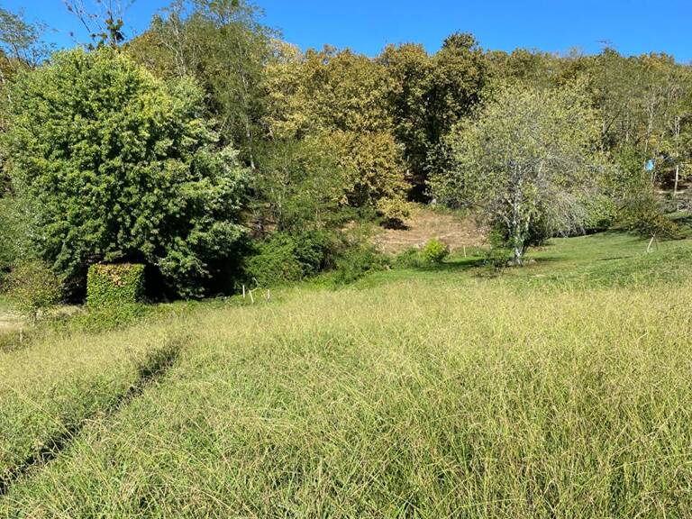 Terrain viabilisé de 739 m2 à Salies-de-Béarn — photo 1