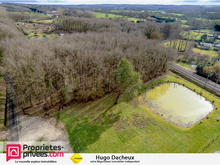 Terrain constructible - Thenioux, avec un étang - 4322 m²  - — photo 1