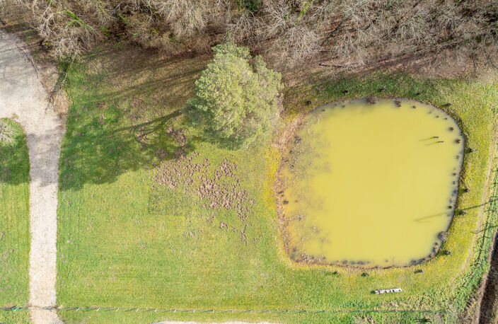 Terrain constructible - Thenioux, avec un étang - 4322 m²  - — photo 4