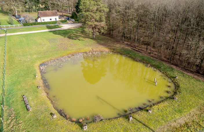 Terrain constructible - Thenioux, avec un étang - 4322 m²  - — photo 5
