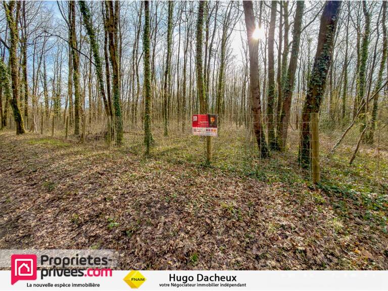 Terrain constructible - 6783 m² - Boisé - — photo 1
