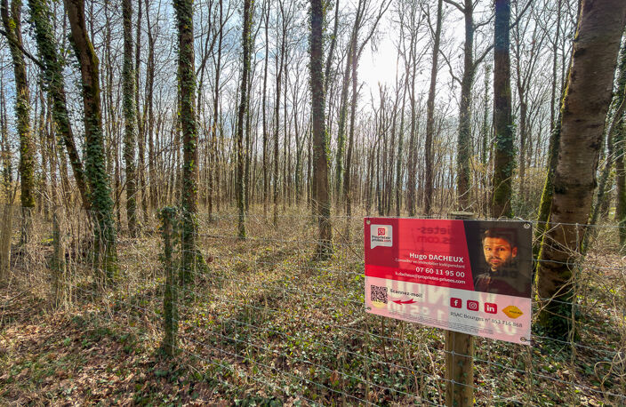 Terrain constructible - 6783 m² - Boisé - — photo 2