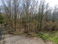 Terrain constructible - 6783 m² - Boisé - — photo 3
