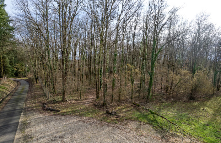 Terrain constructible - 6783 m² - Boisé - — photo 3